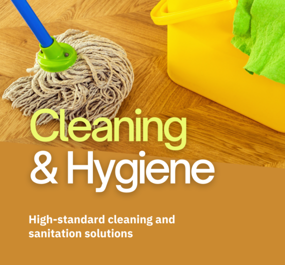 Dark Car Sale Promo Instagram Post